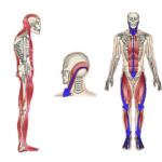코어만 잡다가 몸 다 망친다. 당신이 몰랐던 '실력없는 ' 재활의 함정 8