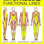 [건강 칼럼] 허리 통증의 범인은 ‘허리’가 아니다? 발바닥에서 시작되는 움직임의 기적