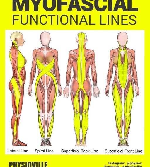 [건강 칼럼] 허리 통증의 범인은 ‘허리’가 아니다? 발바닥에서 시작되는 움직임의 기적