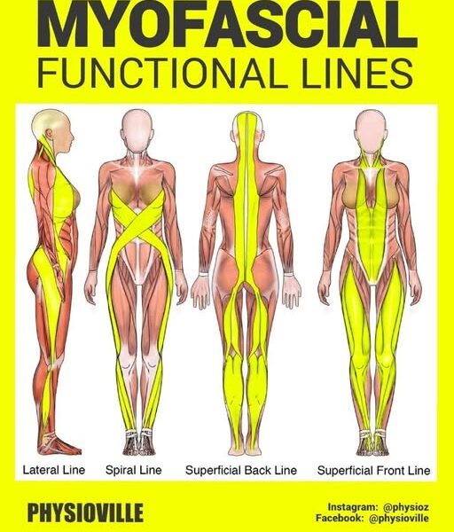 [건강 칼럼] 허리 통증의 범인은 ‘허리’가 아니다? 발바닥에서 시작되는 움직임의 기적