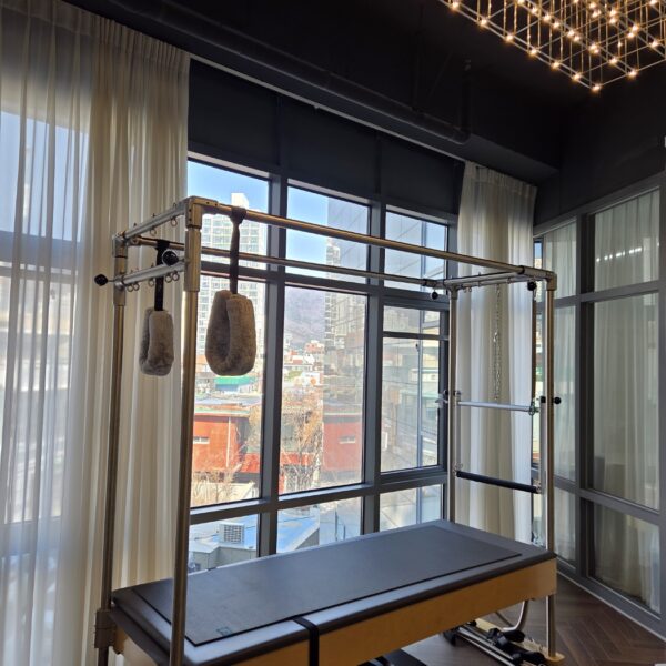 [전문가 칼럼] 지긋지긋한 어깨 통증과 두통, 범인은 ‘팔’이 아니라 ‘날개뼈’였다